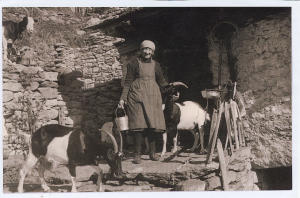 D'Andrea Assunta con le capre davanti alla propria abitazione
